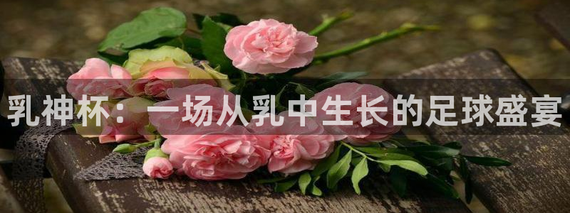 世界杯球赛：乳神杯：一场从乳中生长的足球盛宴