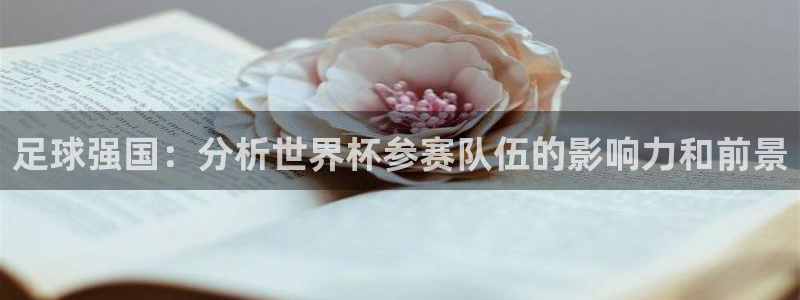 世界杯2026赛制：足球强国：分析世界杯参赛队伍的影响力和前景