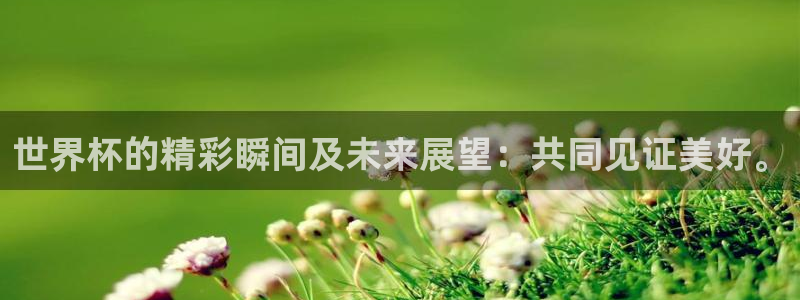 世界杯预选赛欧洲赛区赛程：世界杯的精彩瞬间及未来展望：共同见证美好。
