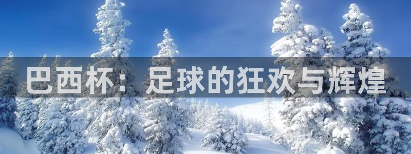 2026世界杯日期：巴西杯：足球的狂欢与辉煌