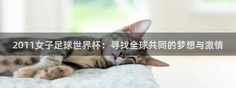 免费足球比赛直播高清：2011女子足球世界杯：寻找全球共同的梦想与激情