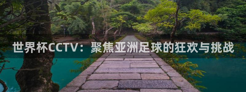 2026世界杯赛制：世界杯CCTV：聚焦亚洲足球的狂欢与挑战