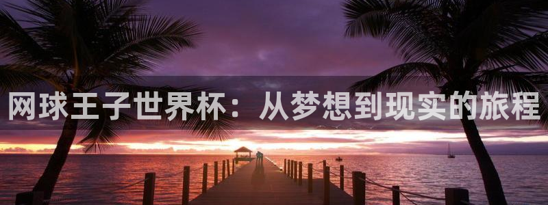 今年的世界杯：网球王子世界杯：从梦想到现实的旅程
