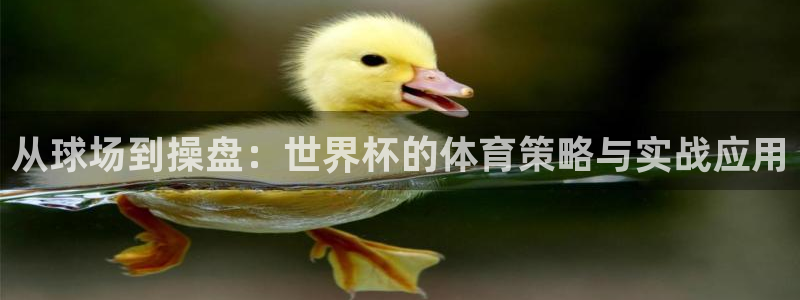 欧洲区世界杯预选赛：从球场到操盘：世界杯的体育策略与实战应用