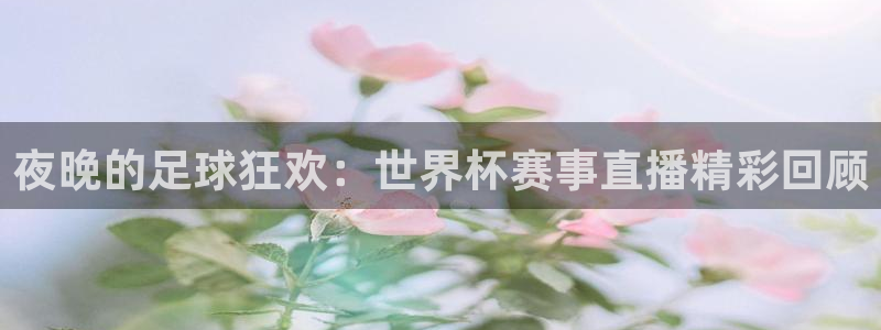 2026男足世界杯赛程：夜晚的足球狂欢：世界杯赛事直播精彩回顾