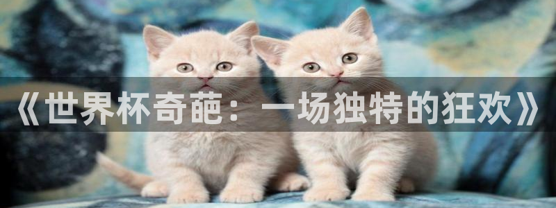 世界杯预选赛直播：《世界杯奇葩：一场独特的狂欢》