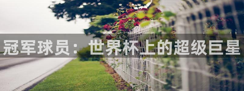 世界杯欧洲区预选赛：冠军球员：世界杯上的超级巨星