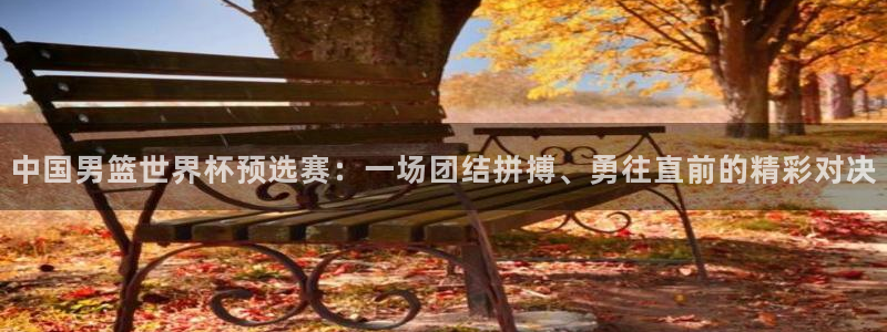 世界杯 2026：中国男篮世界杯预选赛：一场团结拼搏、勇往直前的精彩对决