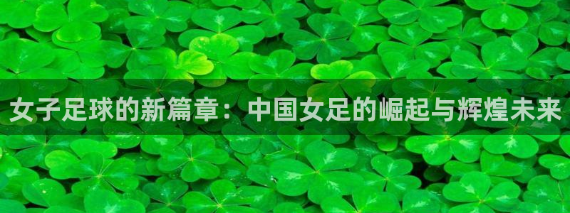 世界杯今年：女子足球的新篇章：中国女足的崛起与辉煌未来
