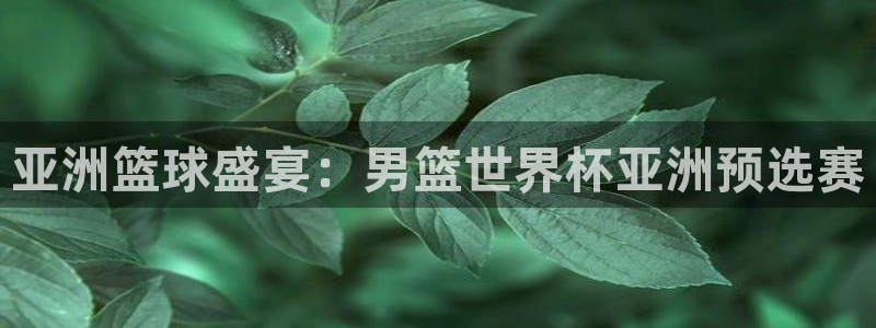 2026世亚预赛赛程表：亚洲篮球盛宴：男篮世界杯亚洲预选赛