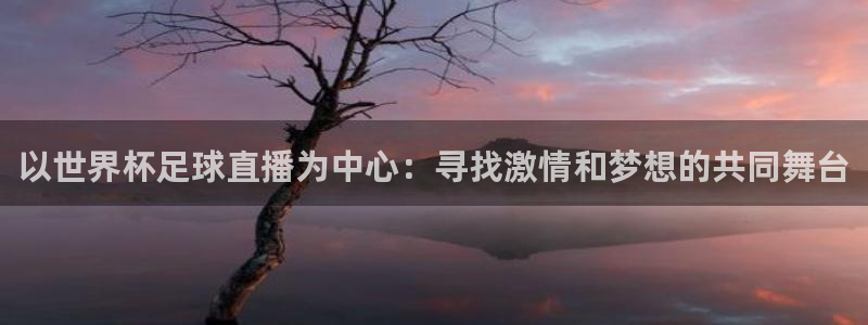 亚洲杯足球：以世界杯足球直播为中心：寻找激情和梦想的共同舞台